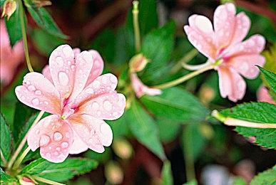 《雷神之锤4》新版画质MOD发布 全面提升材质精度